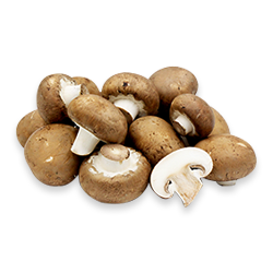 Champignon Portobello