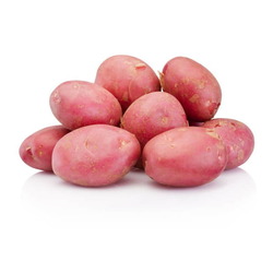 P.D.T Nouvelle Rouge