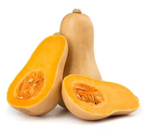 Courge Butternut